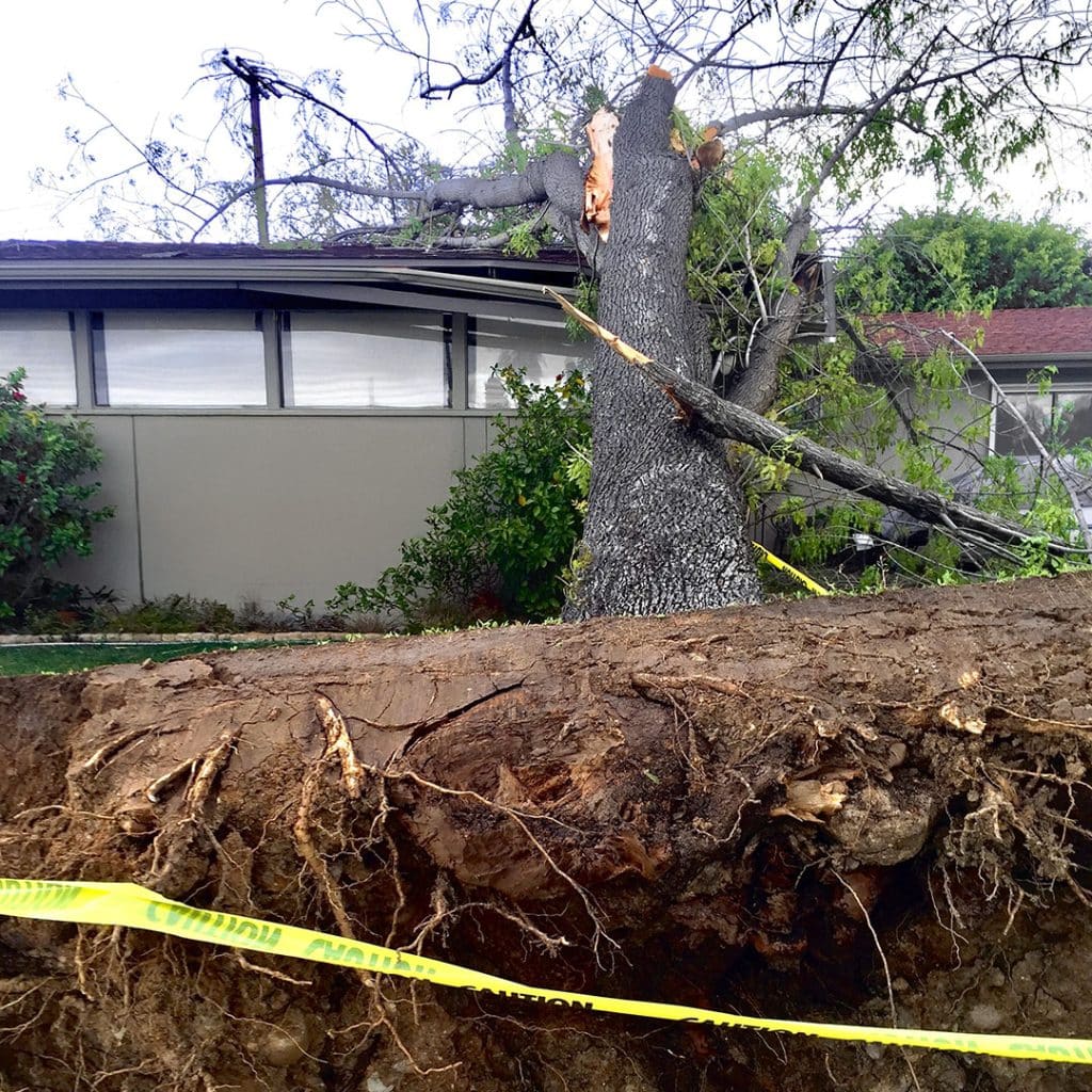 Storm damage repair by Wrangler Construction, Flathead Valley MT